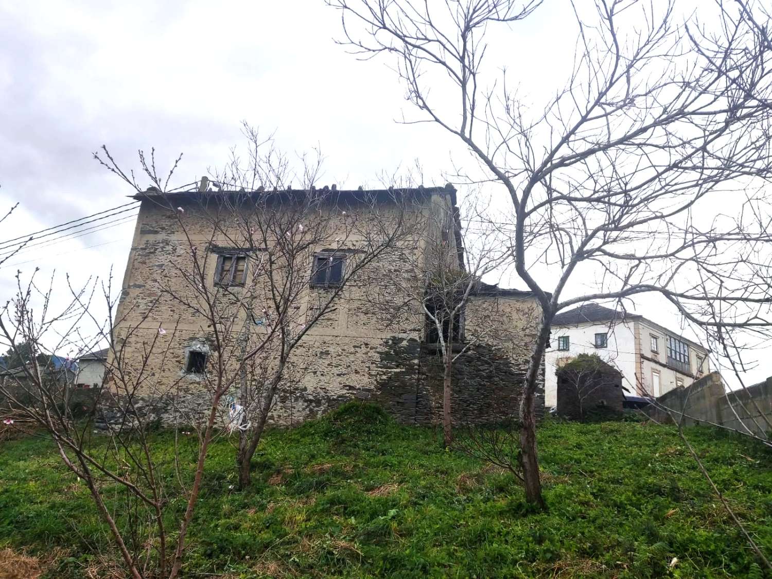 DETACHED HOUSE IN NAVIA