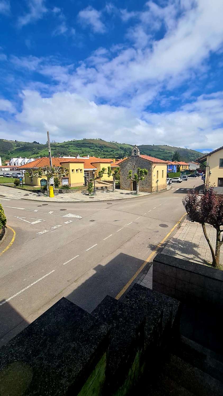 Large Commercial for sale in Vega de Sariego