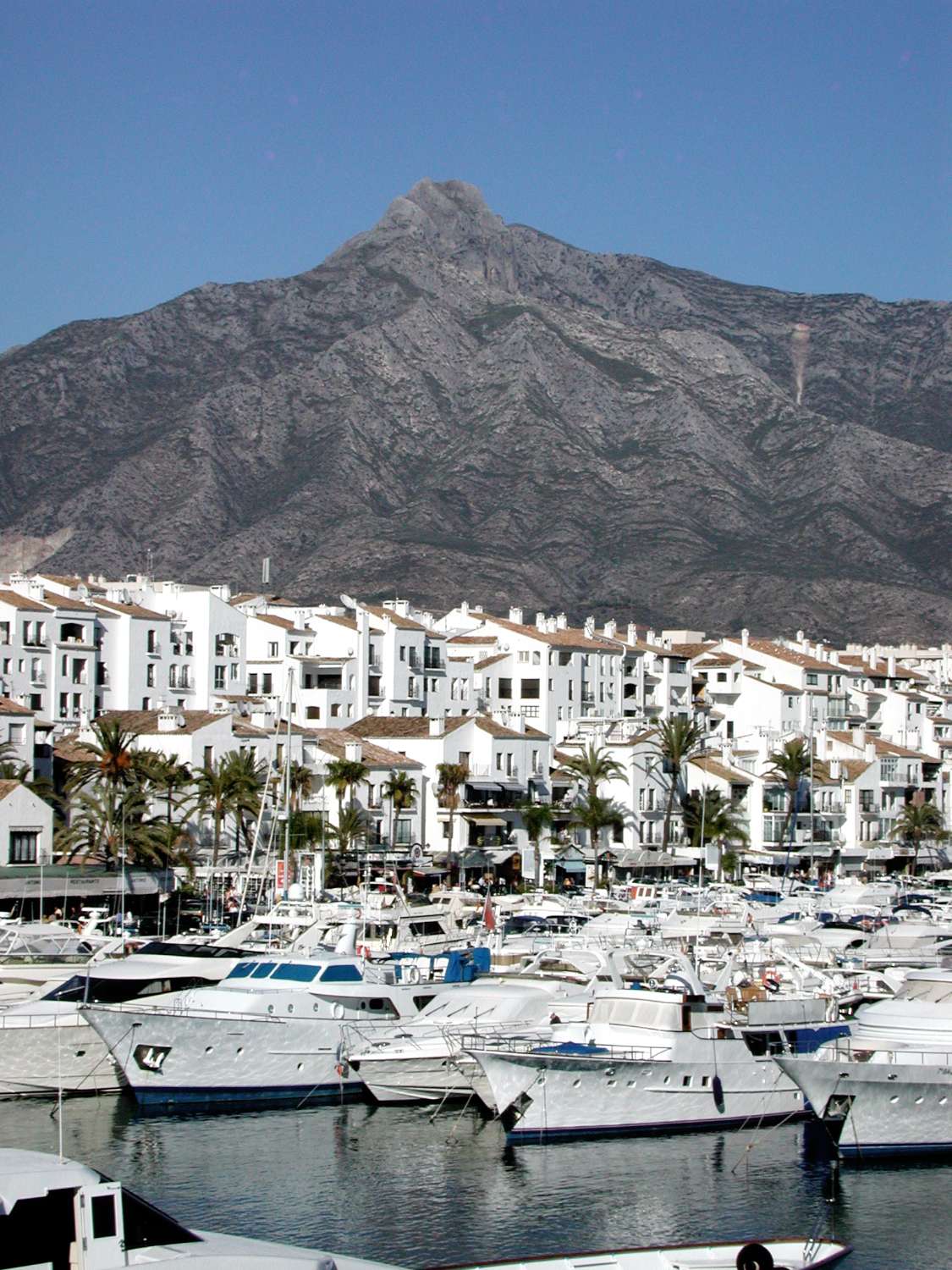 FLATS, PENTHOUSES AND DUPLEXES FOR SALE IN NUEVA ANDALUCÍA, MARBELLA