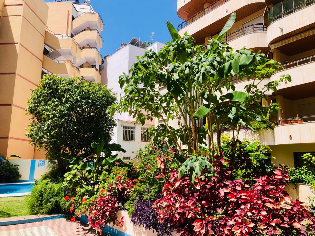 EXCELLENT OPPORTUNITY IN THE HEART OF MARBELLA