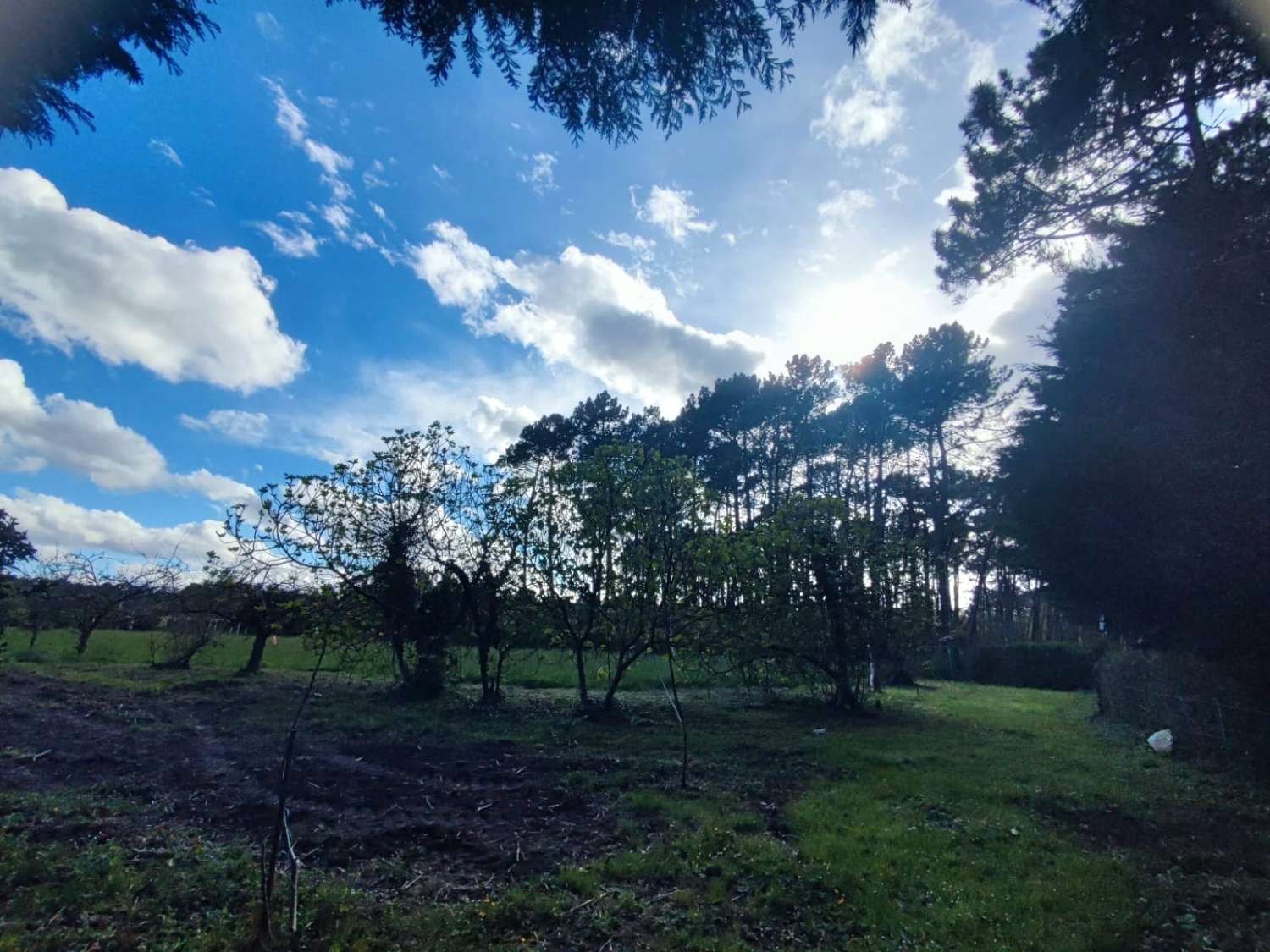 Bebaubares Grundstück in El Franco, Asturien