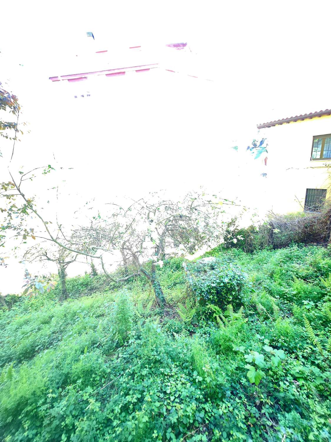 ASTURIAN HOUSE IN THE HEART OF CANGAS DEL NARCEA!!